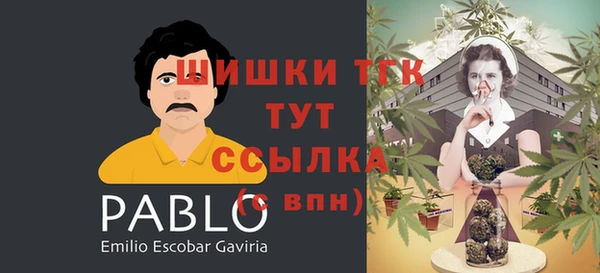 молекула духа Лабытнанги