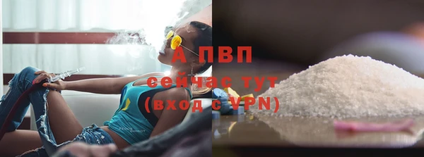 молекула духа Лабытнанги