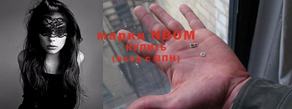 дживик Анжеро-Судженск