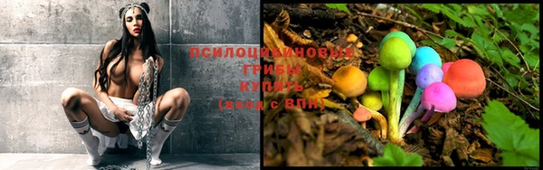 бошки Апатиты