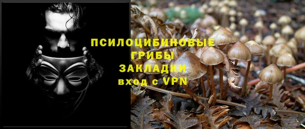 молекула духа Лабытнанги